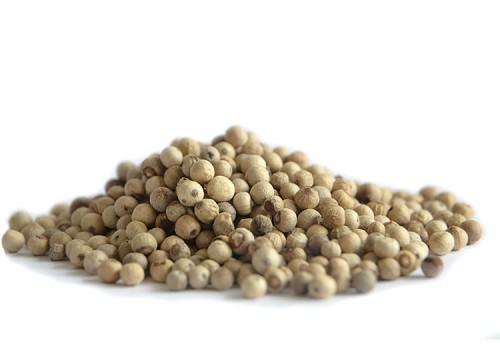 0801-10043-l-etat-camerounais-va-injecter-pres-d-un-milliard-fcfa-dans-un-projet-de-production-du-poivre-de-penja_L