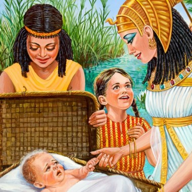 1101978081_univ_sqr_xl